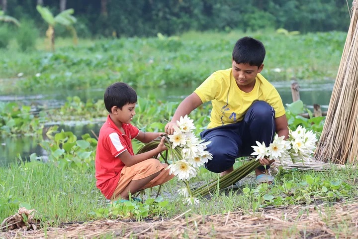 শাপলা ফুল তুলে খেলায় মেতেছে দুই শিশু।